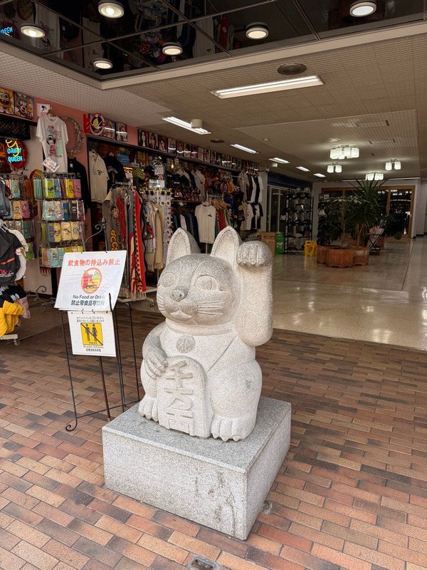 Котей на входе в сувенирный магазин. Подозрительно никого нет.