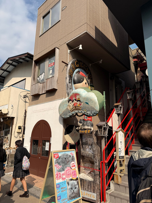 И котокафе. Милота ^^