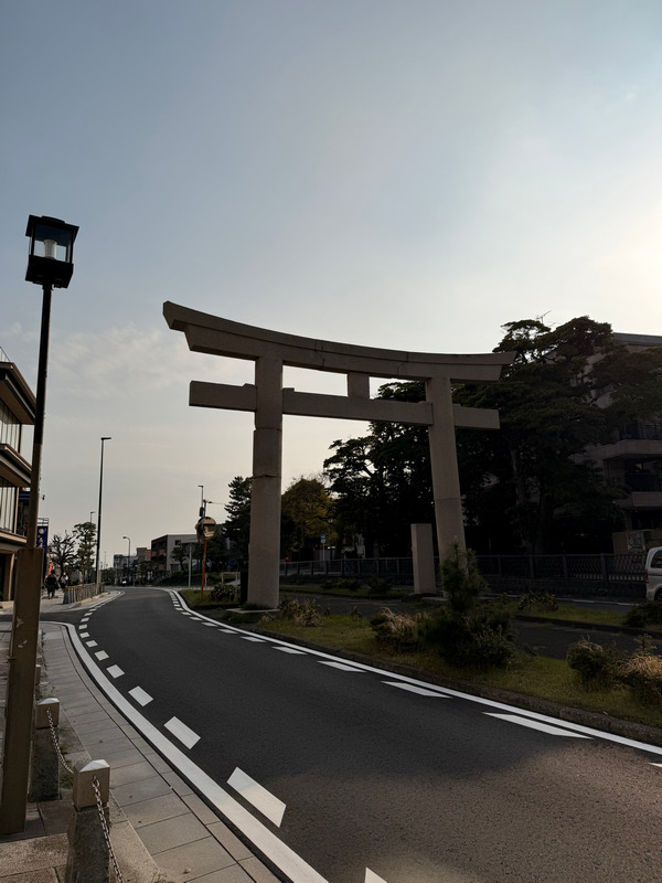 Тори прямо посреди дороги. Наверное, круто такое наблюдать, пока едешь за рулём.