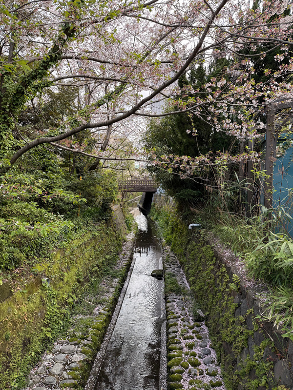 Атмосферный канал.