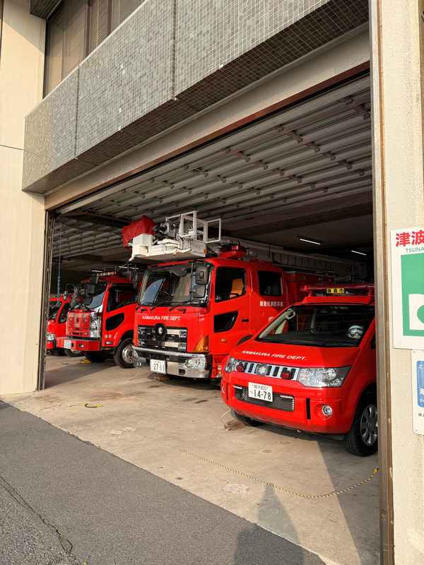 Неожиданно красивое.