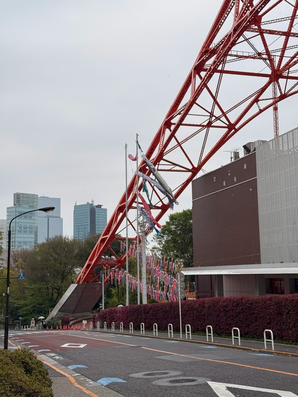 Флюгеры в виде рыб - это остатки прошедшего фестиваля.