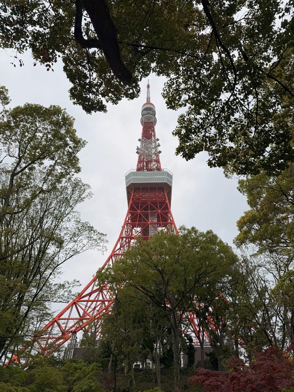 Чего у Tokyo Tower не отнять - это фотогеничность. Она хорошо смотрится с любого ракурса