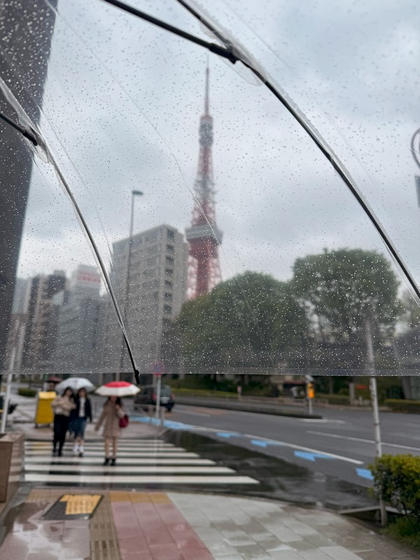 Всё-таки прозрачные зонты - бомба-пушка. Правда качество конструкции оставляет желать лучшего.