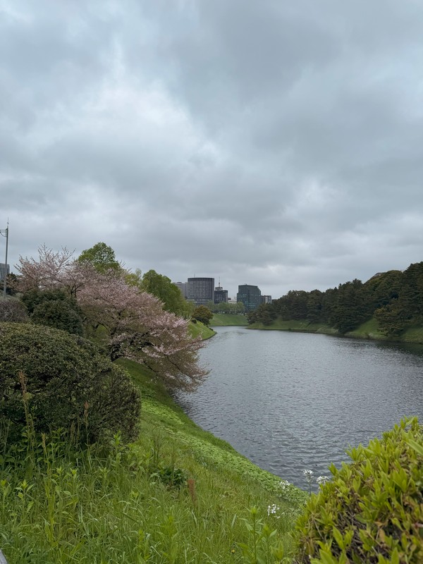 Даже на ров не похоже. Больше берег какого-нибудь пруда.