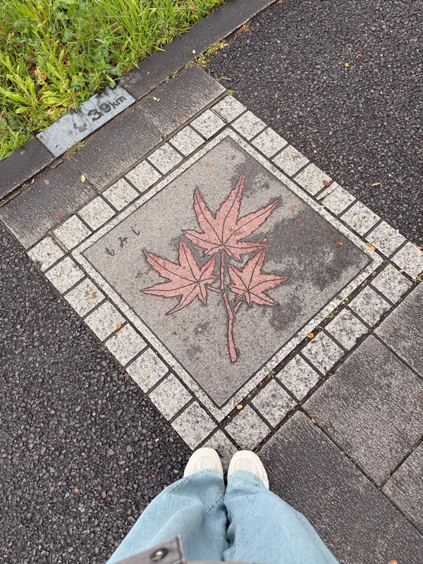 Подобных фресок по набережной было много. Даже есть отметки расстояния (правда не понятно, откуда идёт отсчёт).