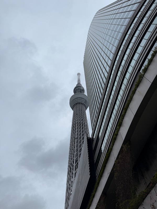 Вот так эта махина выглядит сразу после выхода из метро. Дух захватывает.