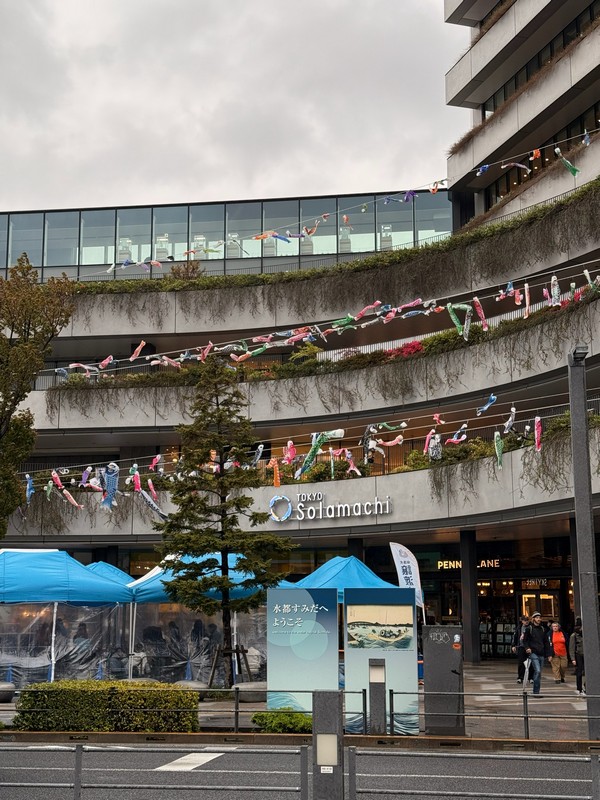 Торговый цент на первых этажах. Ну и уже знакомые рыбные украшения для фестиваля.