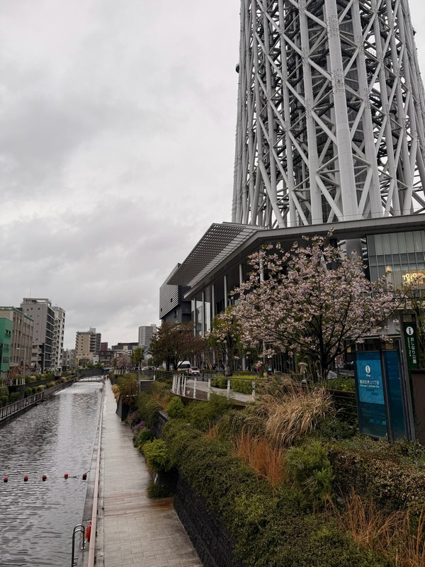 Удивительно, как канал проходит очень рядом с таким мощным зданием.