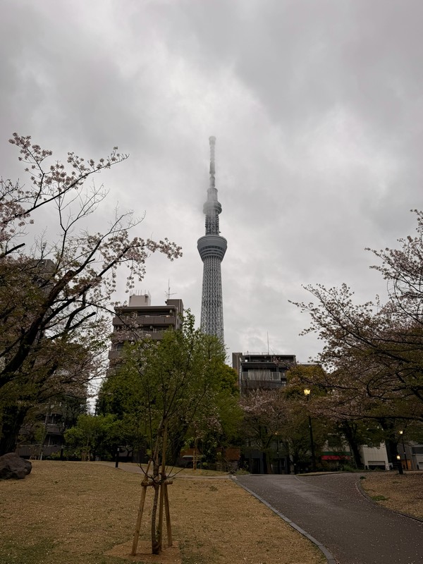 На самом деле, из далека башня выглядит даже лучше.