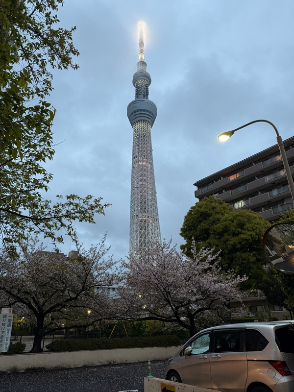 Хоть в реальности было чуть темнее, но всё-равно подсветка терялась.