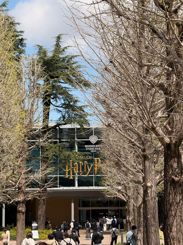 Псс, парень, не хочешь немного магии?