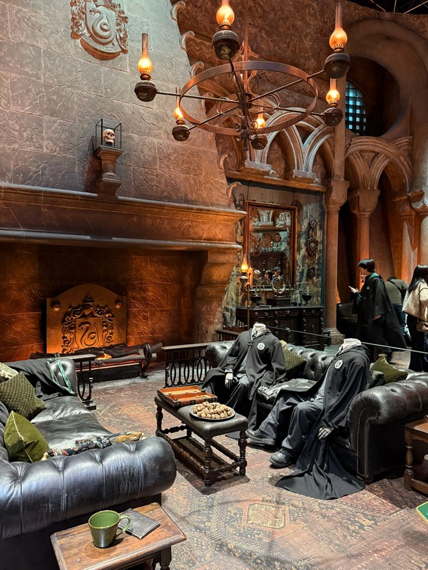 Безбашенные ученики факультета Слизерин. Череп над камином - топовая деталь.