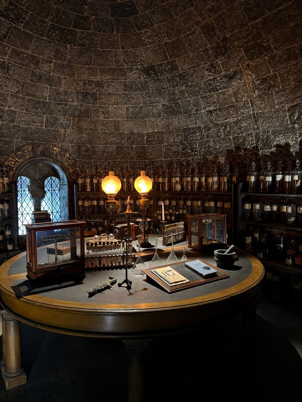 Класс зельеваренья был очень атмосферный. Даже были котлы, которые сами мешают своё содержимое.