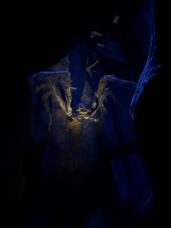 Самое жуткое место, которое реально пробирает. Не представляю даже, что тут с арахнофобами произойдёт.