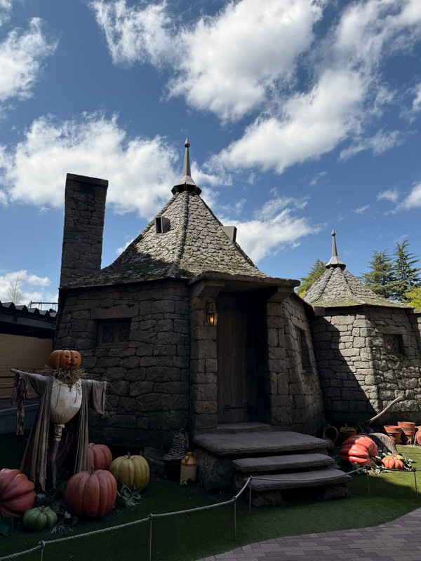 Лачуга Хагрида. Даже можно было зайти внутрь и позалипать на убранство.