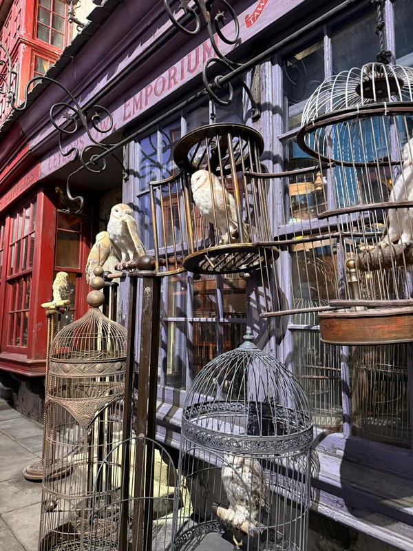 Букли на продажу.